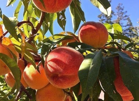 WhatsApp Image 2023-07-14 at 9.02.51 PM