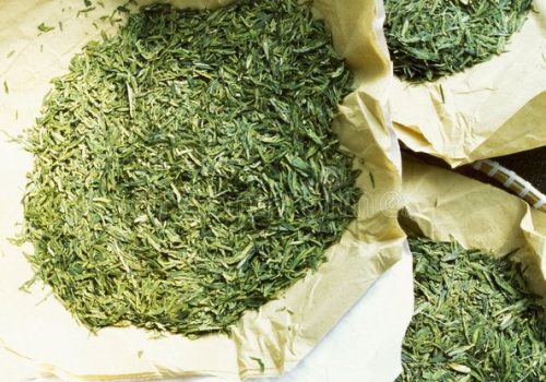 WhatsApp Image 2023-07-14 at 9.14.28 PM